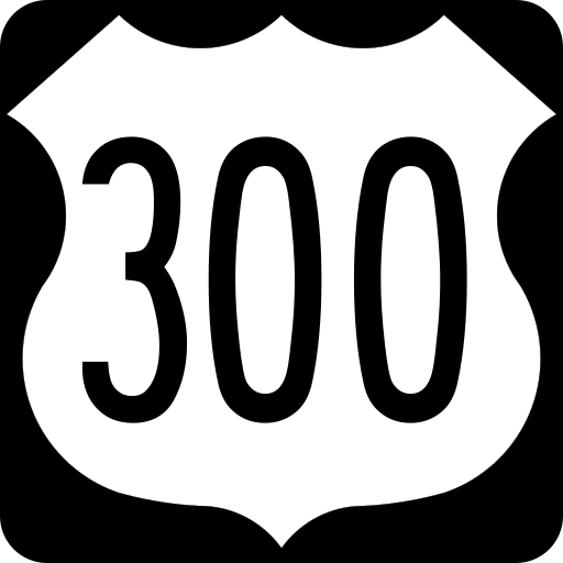 The number 300 on a highway sign in black and white